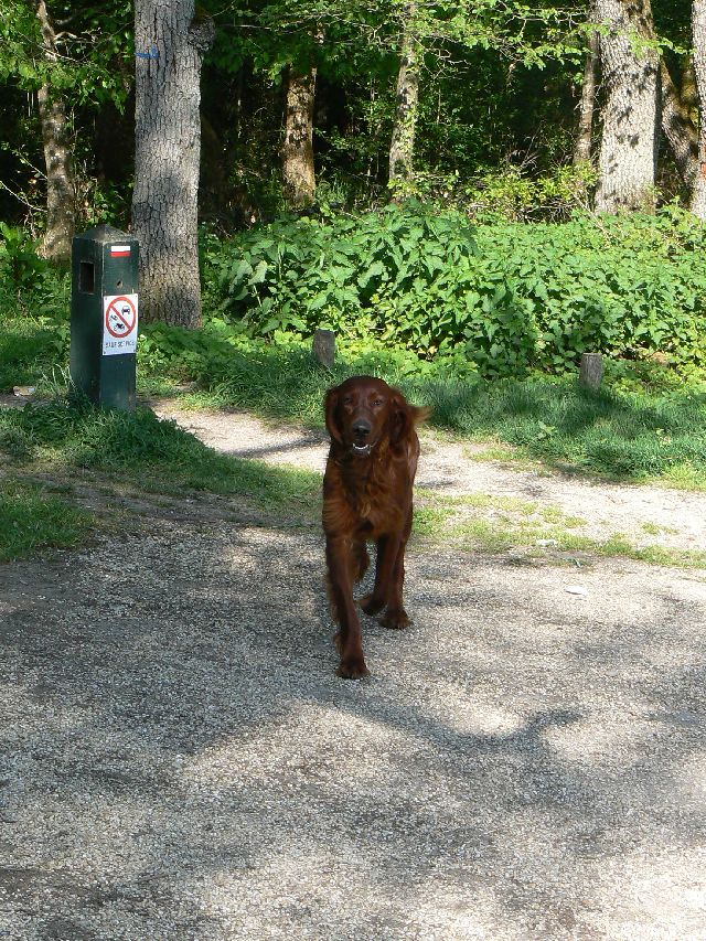 zastavka nedaleko Fontainebleau3